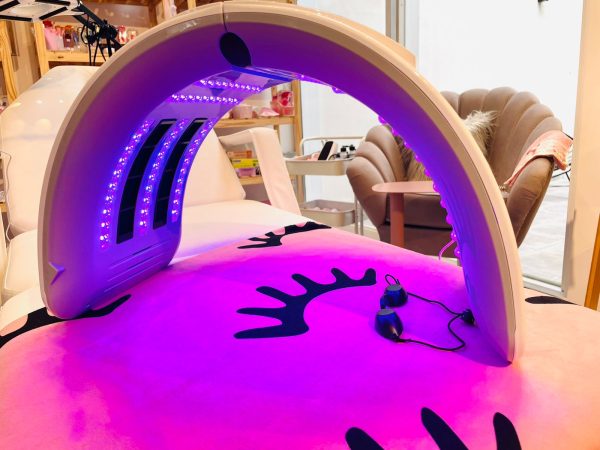 CABINA LED PLEGABLE y DIGITAL - Imagen 2