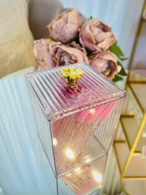 ORGANIZADOR ACRÍLICO TREBOL